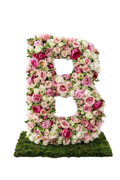Lettre Gypsophile